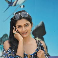 Vimala Raman Hot Pictures | Picture 51100